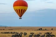 Balloon safari
