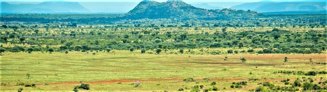 Meru National Park 